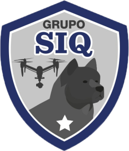 Seguridad integral para empresas